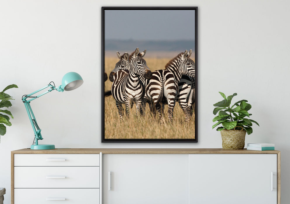 kleine Zebrahorde auf Leinwandbild gerahmt verschiedene Größen im Wohnzimmer