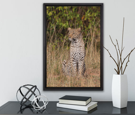 anmutiger Leopard im hohen Gras auf Leinwandbild gerahmt mit Kirschblüten