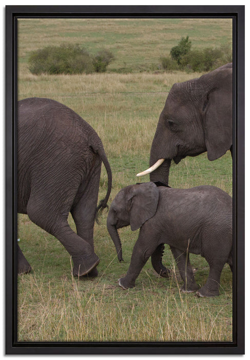 wandernde Elefantenfamilie auf Leinwandbild gerahmt Größe 60x40