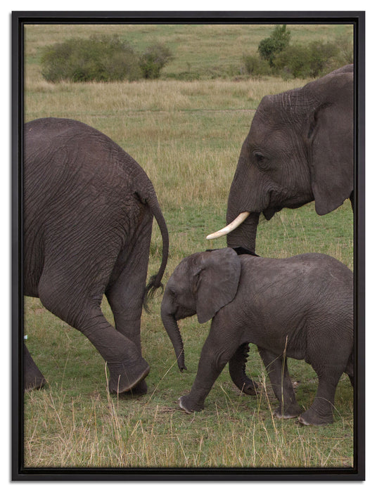 wandernde Elefantenfamilie auf Leinwandbild gerahmt Größe 80x60