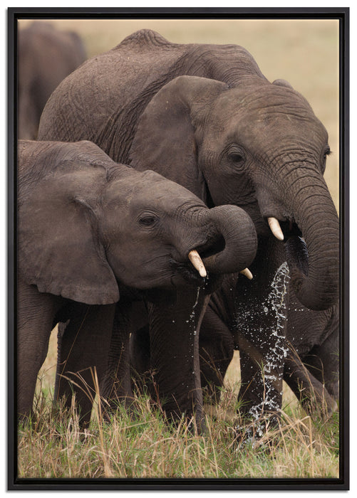 Elefantenhorde am Wasserloch auf Leinwandbild gerahmt Größe 100x70