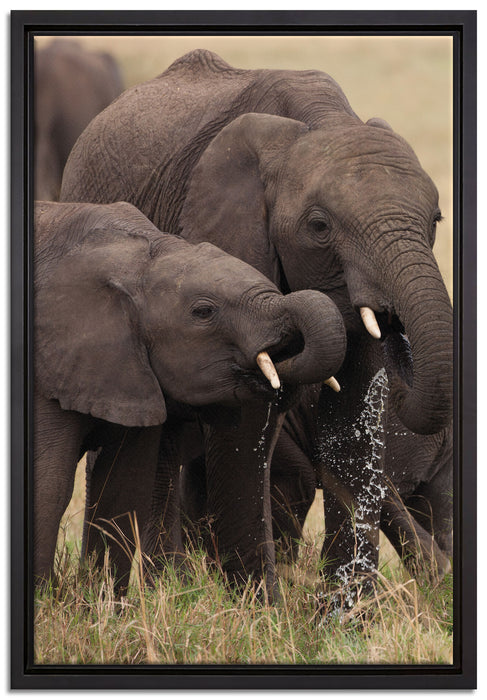 Elefantenhorde am Wasserloch auf Leinwandbild gerahmt Größe 60x40