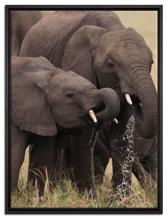 Elefantenhorde am Wasserloch auf Leinwandbild gerahmt Größe 80x60