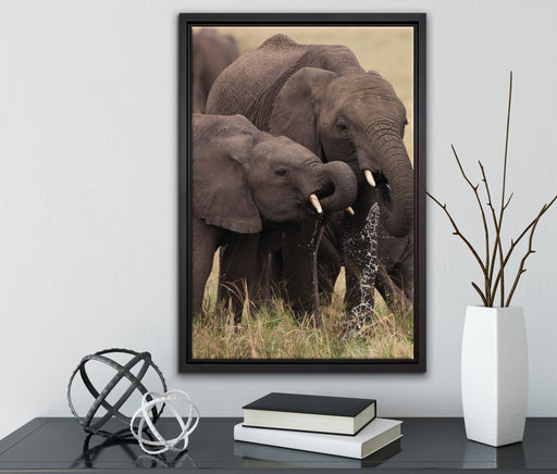 Elefantenhorde am Wasserloch auf Leinwandbild gerahmt mit Kirschblüten