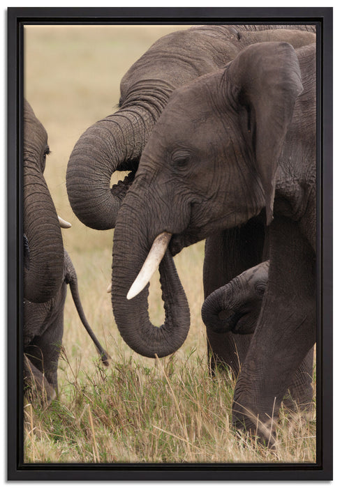 Elefantenhorde am Wasserloch auf Leinwandbild gerahmt Größe 60x40