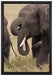 Elefantenhorde am Wasserloch auf Leinwandbild gerahmt Größe 60x40