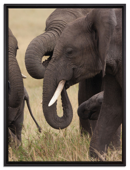Elefantenhorde am Wasserloch auf Leinwandbild gerahmt Größe 80x60