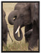 Elefantenhorde am Wasserloch auf Leinwandbild gerahmt Größe 80x60