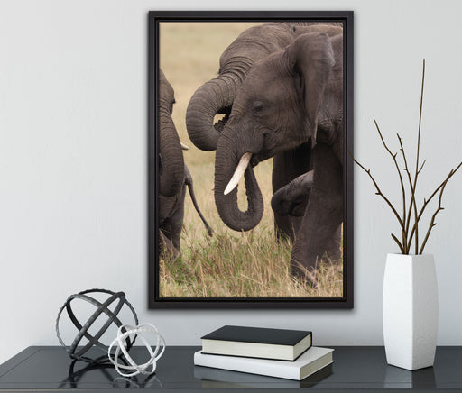 Elefantenhorde am Wasserloch auf Leinwandbild gerahmt mit Kirschblüten