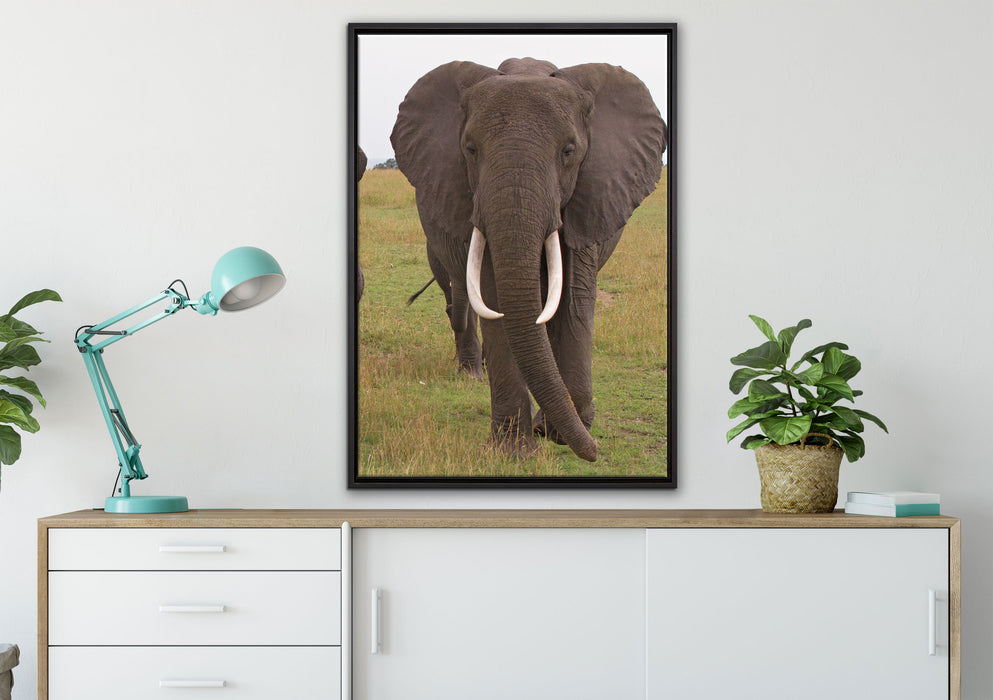 große wandernde Elefantenhorde auf Leinwandbild gerahmt verschiedene Größen im Wohnzimmer