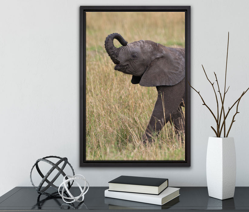 kleines Elefantenjunges auf Leinwandbild gerahmt mit Kirschblüten