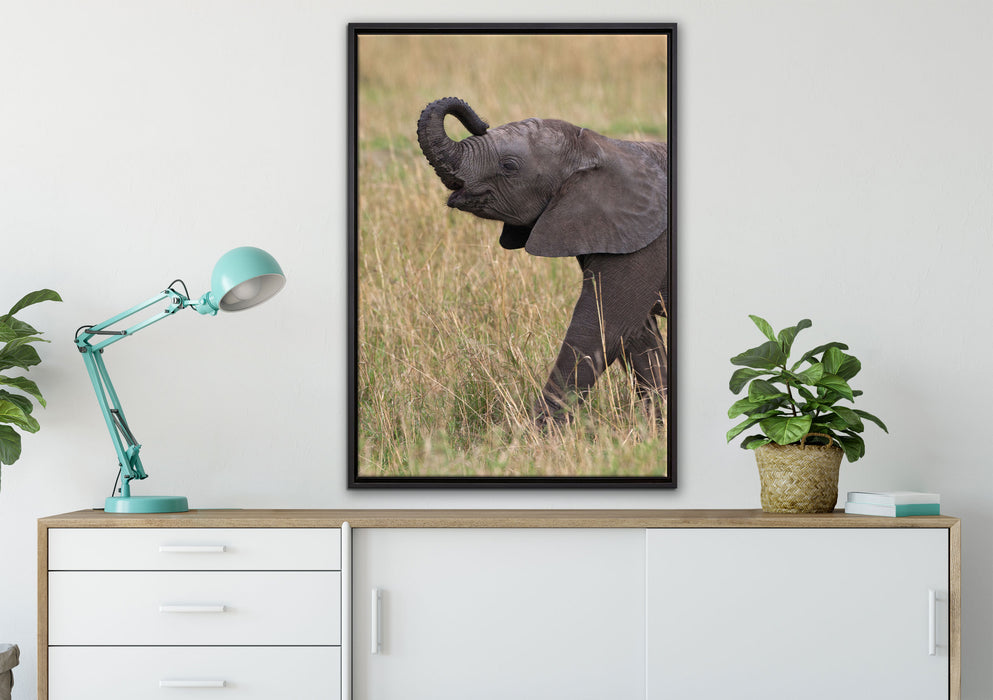 kleines Elefantenjunges auf Leinwandbild gerahmt verschiedene Größen im Wohnzimmer