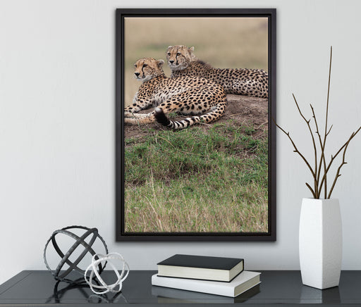 majestätische Geparden auf Stein auf Leinwandbild gerahmt mit Kirschblüten