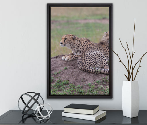 prächtige Geparden auf Stein auf Leinwandbild gerahmt mit Kirschblüten