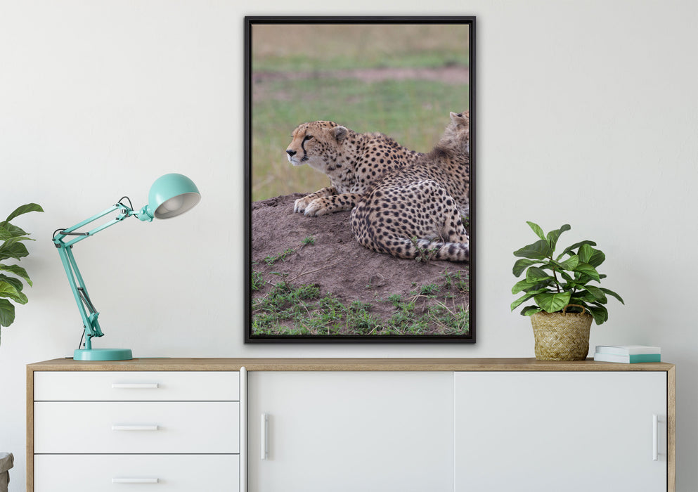 prächtige Geparden auf Stein auf Leinwandbild gerahmt verschiedene Größen im Wohnzimmer