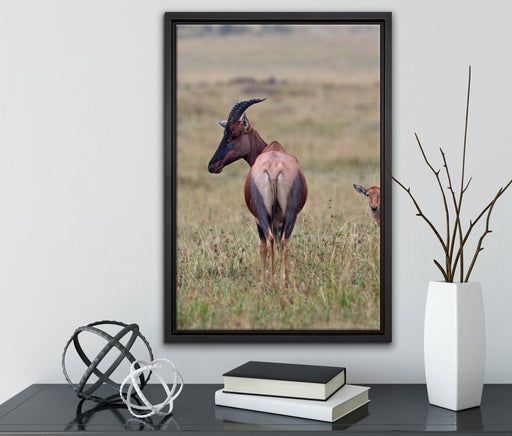 rote Kuhantilope mit Jungtier auf Leinwandbild gerahmt mit Kirschblüten