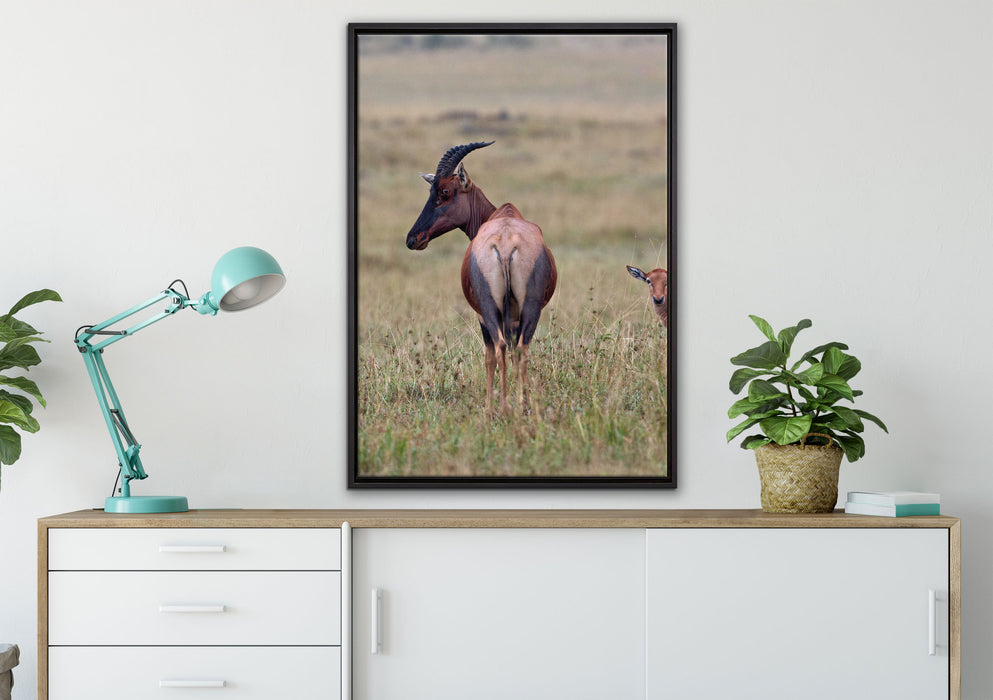 rote Kuhantilope mit Jungtier auf Leinwandbild gerahmt verschiedene Größen im Wohnzimmer