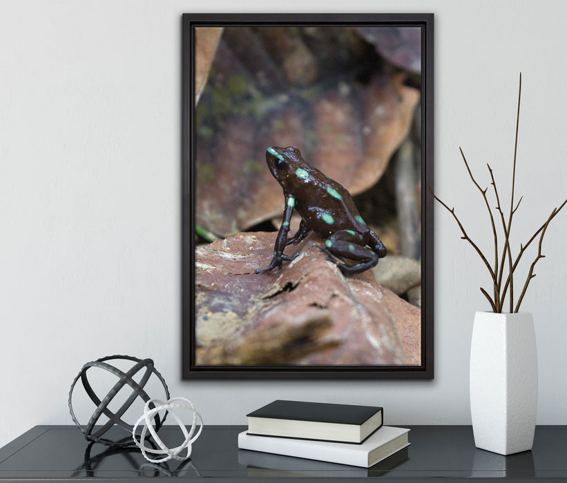 Baumsteiger Frosch auf Leinwandbild gerahmt mit Kirschblüten