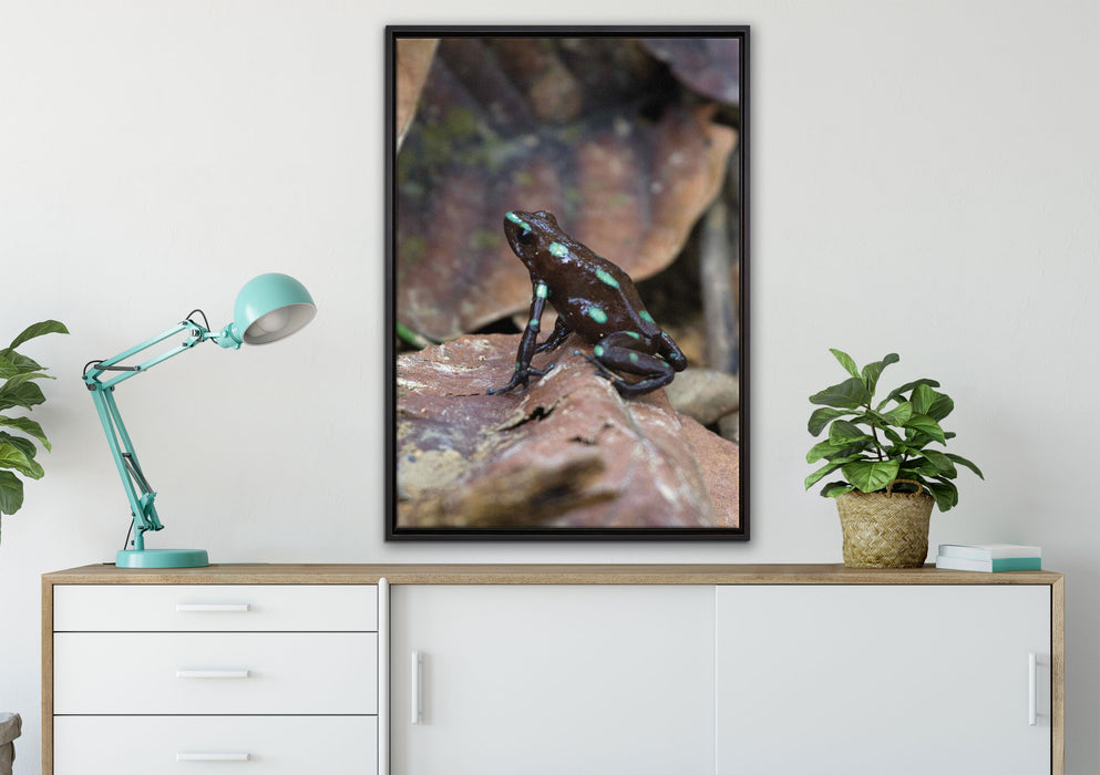 Baumsteiger Frosch auf Leinwandbild gerahmt verschiedene Größen im Wohnzimmer
