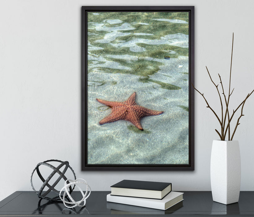 Seestern im klaren Wasser auf Leinwandbild gerahmt mit Kirschblüten