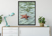 Seestern im klaren Wasser auf Leinwandbild gerahmt verschiedene Größen im Wohnzimmer