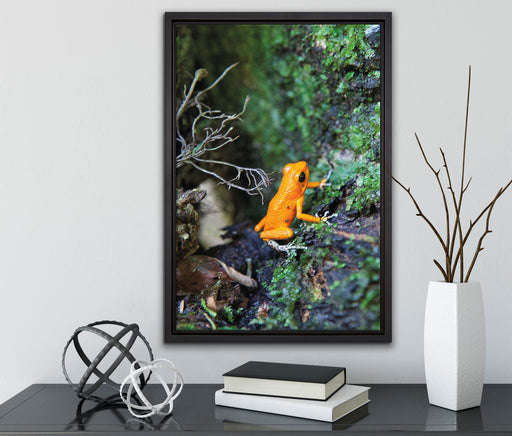 hochgiftiger kleiner Frosch auf Leinwandbild gerahmt mit Kirschblüten