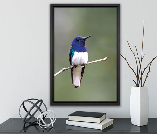 kleiner farbenfroher Vogel auf Leinwandbild gerahmt mit Kirschblüten