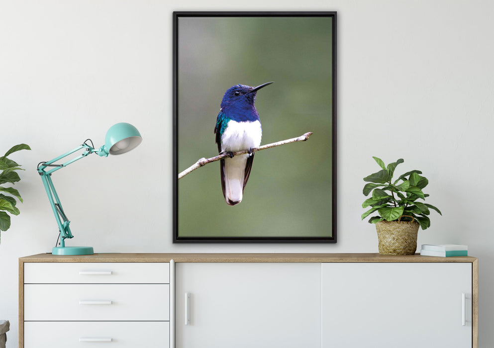 kleiner farbenfroher Vogel auf Leinwandbild gerahmt verschiedene Größen im Wohnzimmer