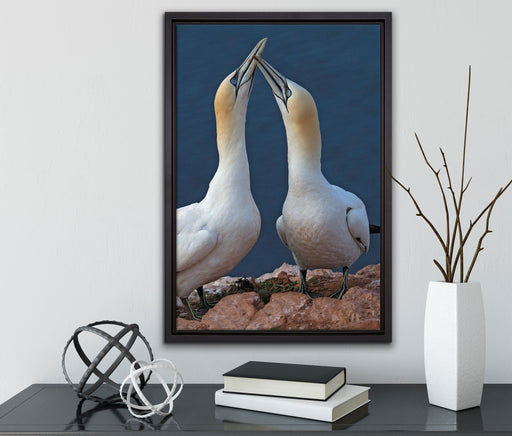 außergewöhnliche Vögel am Meer auf Leinwandbild gerahmt mit Kirschblüten