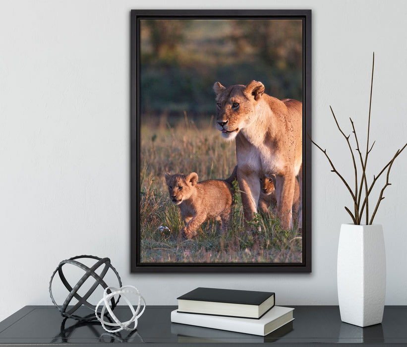Löwenmutter mit Jungtieren auf Leinwandbild gerahmt mit Kirschblüten