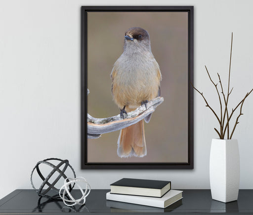 kleiner Vogel auf Ast auf Leinwandbild gerahmt mit Kirschblüten