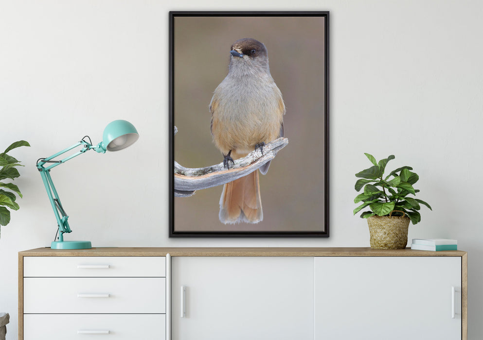 kleiner Vogel auf Ast auf Leinwandbild gerahmt verschiedene Größen im Wohnzimmer