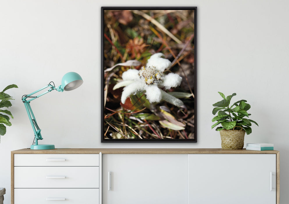 flauschige weiße Blüte auf Leinwandbild gerahmt verschiedene Größen im Wohnzimmer