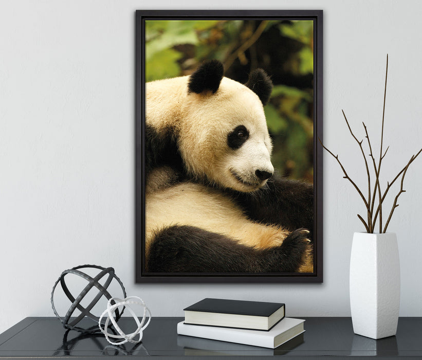 niedlicher Pandabär auf Leinwandbild gerahmt mit Kirschblüten