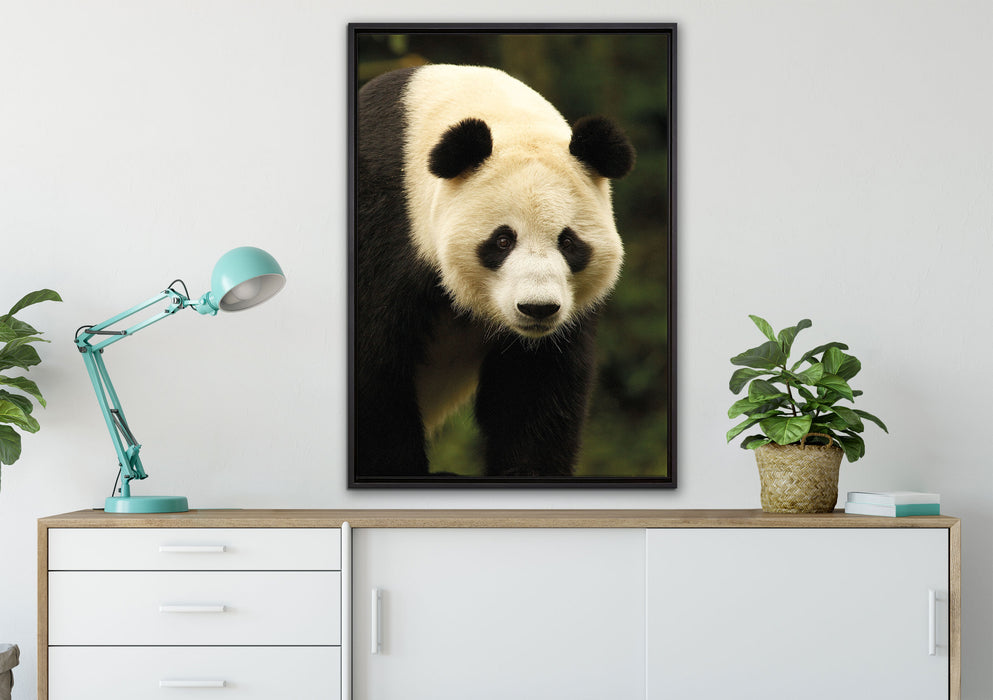 großer Pandabär auf Leinwandbild gerahmt verschiedene Größen im Wohnzimmer