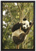 niedlicher Pandabär auf Baum auf Leinwandbild gerahmt Größe 60x40