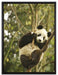 niedlicher Pandabär auf Baum auf Leinwandbild gerahmt Größe 80x60