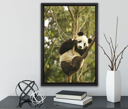 niedlicher Pandabär auf Baum auf Leinwandbild gerahmt mit Kirschblüten