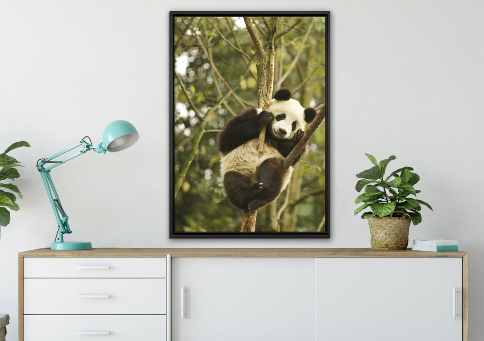 niedlicher Pandabär auf Baum auf Leinwandbild gerahmt verschiedene Größen im Wohnzimmer