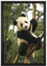 niedlicher Pandabär auf Baum auf Leinwandbild gerahmt Größe 60x40
