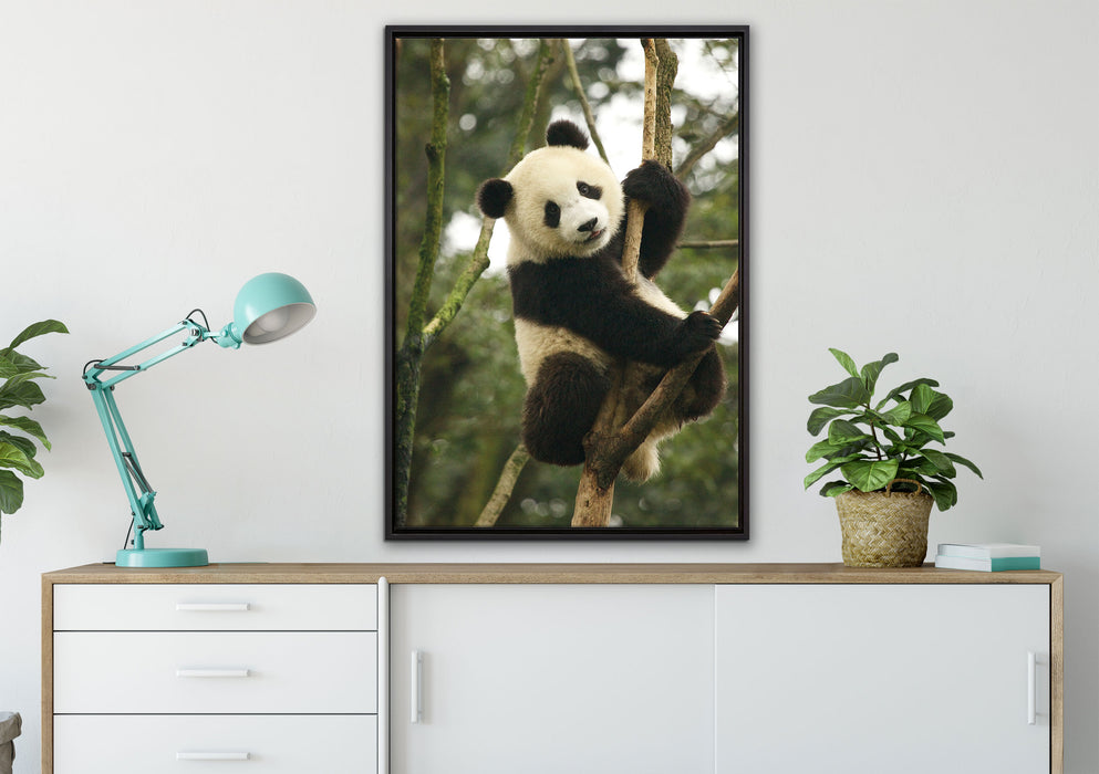 niedlicher Pandabär auf Baum auf Leinwandbild gerahmt verschiedene Größen im Wohnzimmer