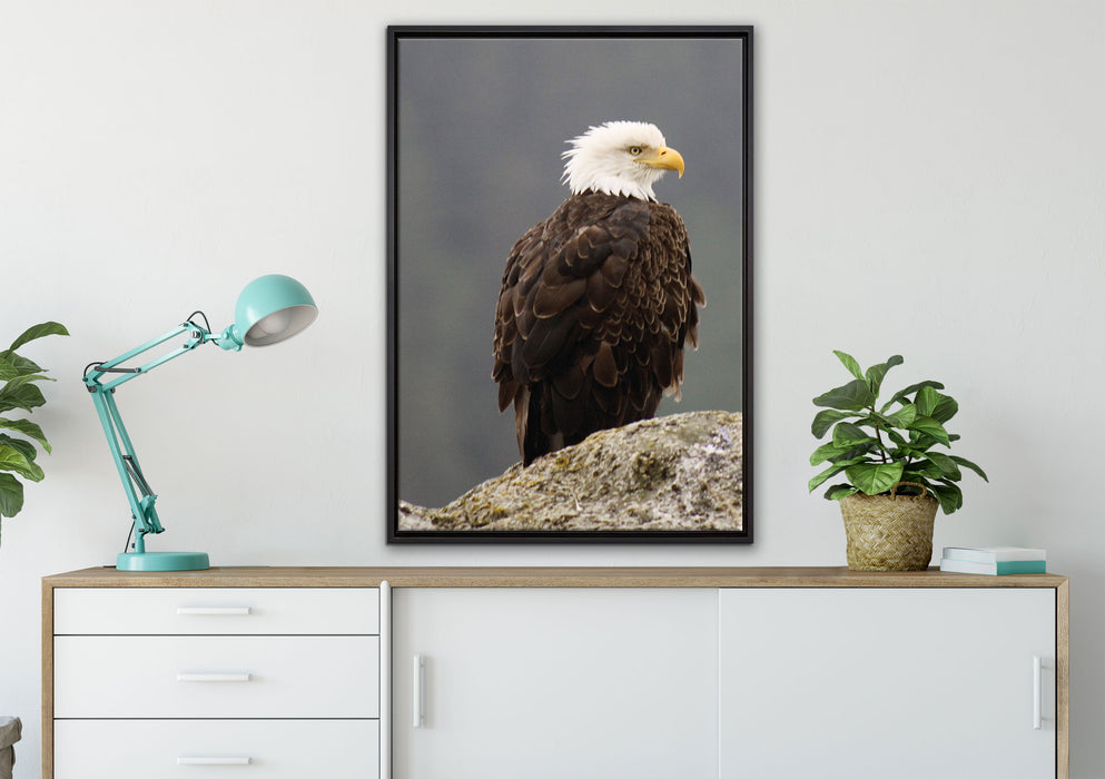 wachsamer Adler auf Fels auf Leinwandbild gerahmt verschiedene Größen im Wohnzimmer
