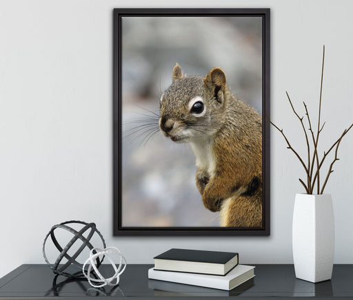 kleines wachsames Eichhörnchen auf Leinwandbild gerahmt mit Kirschblüten
