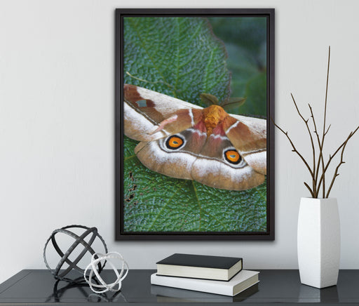 Schmetterling auf Blatt auf Leinwandbild gerahmt mit Kirschblüten