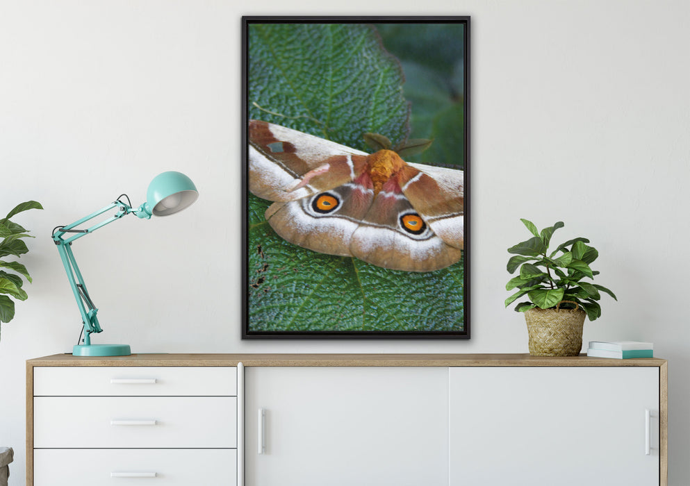 Schmetterling auf Blatt auf Leinwandbild gerahmt verschiedene Größen im Wohnzimmer