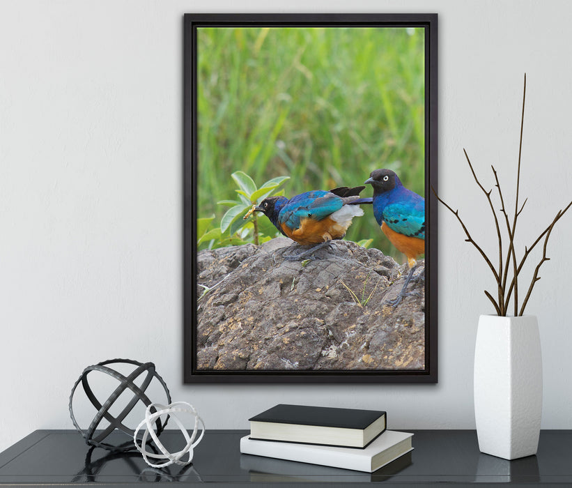 Vögel auf einem Stein auf Leinwandbild gerahmt mit Kirschblüten