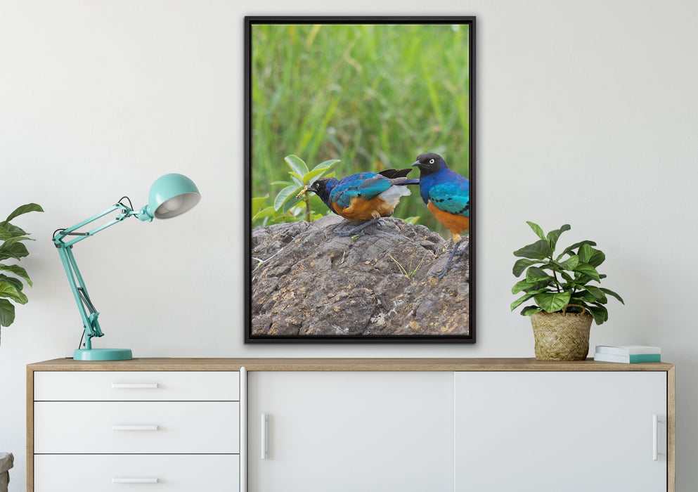 Vögel auf einem Stein auf Leinwandbild gerahmt verschiedene Größen im Wohnzimmer
