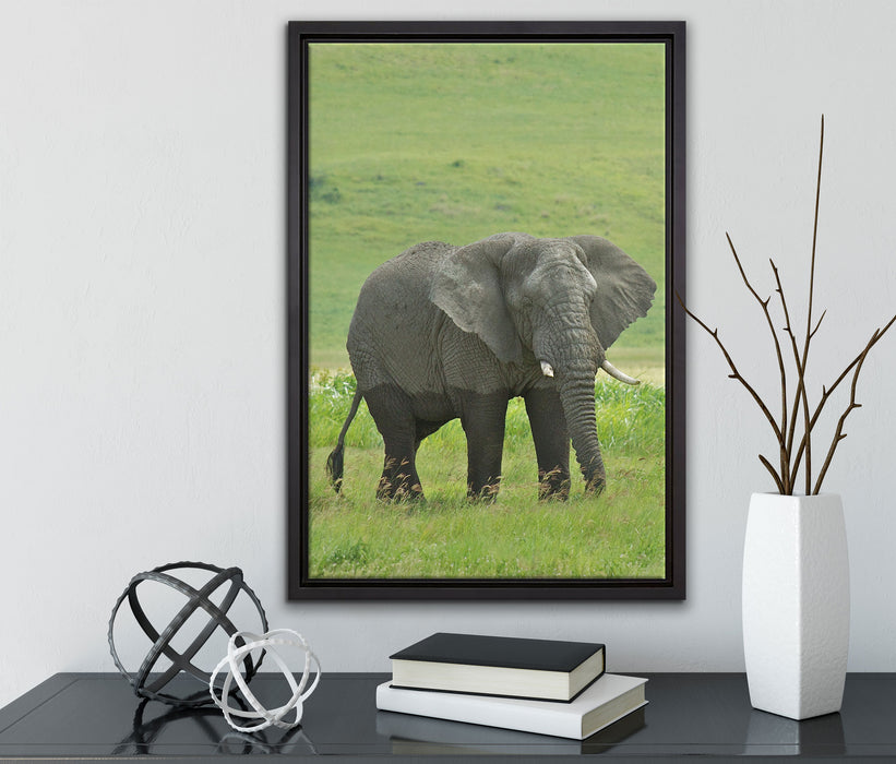 gigantischer Elefant im Gras auf Leinwandbild gerahmt mit Kirschblüten