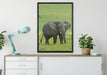 gigantischer Elefant im Gras auf Leinwandbild gerahmt verschiedene Größen im Wohnzimmer