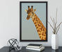 majestätische Giraffe auf Leinwandbild gerahmt mit Kirschblüten